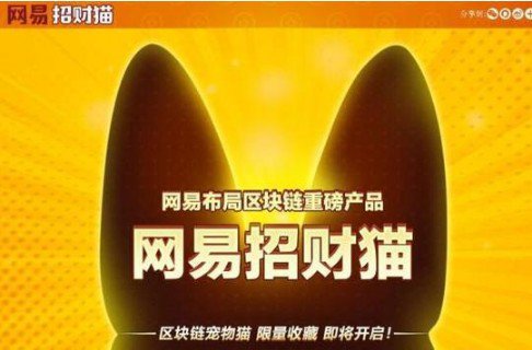 我终于盼来了云养猫，不用铲屎的那种！