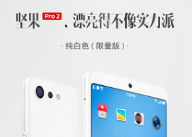 美什么？应该的！锤子发布纯白版坚果pro2